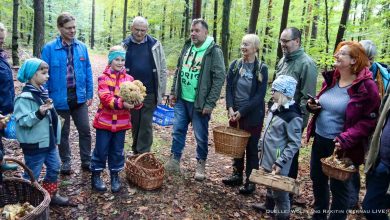 „Die Welt der Pilze“ Vortrag mit Waldwanderung in Bernau und Lanke