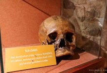Museumsgeschichten aus Bernau: Der Schädel des Giftmörders Winter