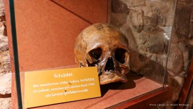 Museumsgeschichten aus Bernau: Der Schädel des Giftmörders Winter