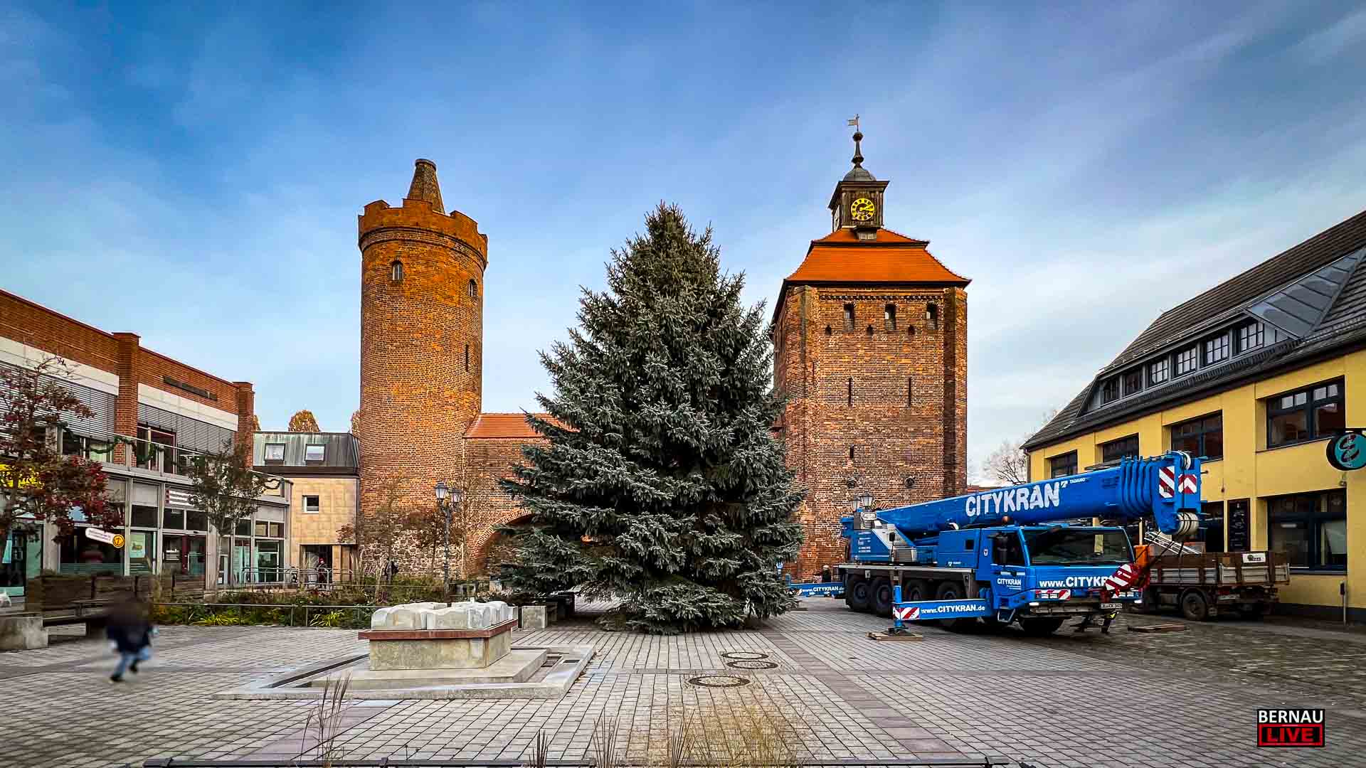 Darf es etwas größer sein? Weihnachtsbaum der WOBAU in Bernau