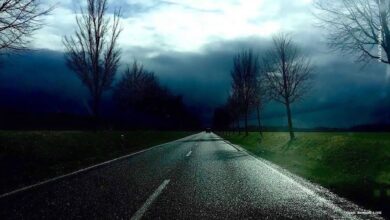 Wetterwarnung: Es wird stürmisch in Bernau und Barnim