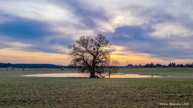Guten Morgen aus Bernau und willkommen im Februar