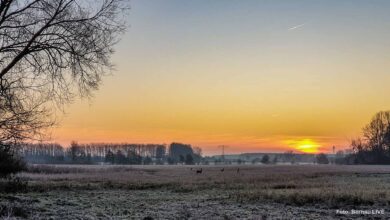 Guten Morgen aus Bernau und einen guten Start in die neue Woche