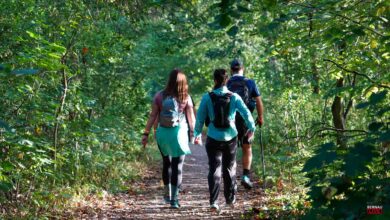 HIKING HERO – Wander-Marathon in Bernau - auf zur 2. Runde