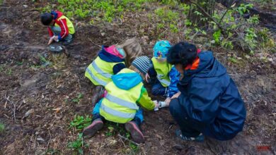 Bernauer Wald-Kindertagesstätte "Schneckenkönig" bietet freie Plätze