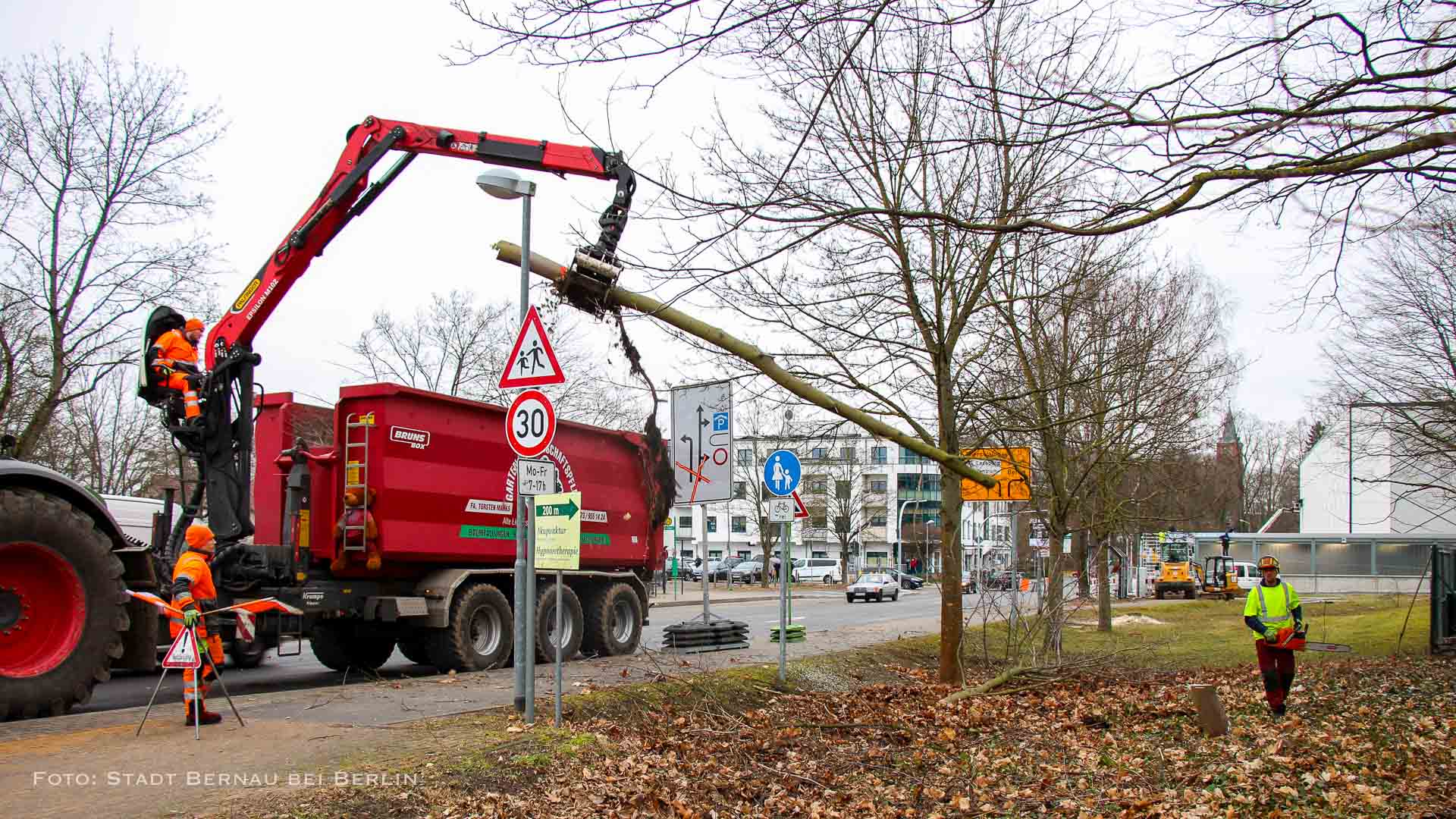 Fällarbeiten im Zuge der Umgestaltung Ladeburger Dreieck in Bernau