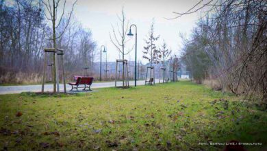 Polizeimeldungen: Frau im Bernauer Panke-Park sexuell belästigt