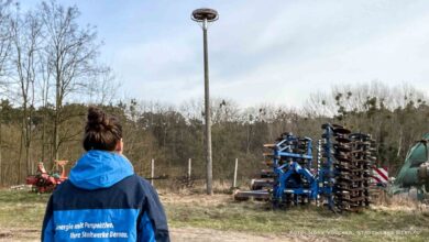 Nisthilfe für Weißstörche im Bernauer Ortsteil Lobetal aufgestellt