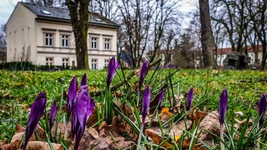 Habt einen schönen Donnerstag und guten Morgen aus Bernau