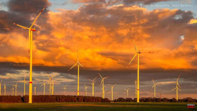 Petition soll Windpark zwischen Börnicke - Löhme - Willmersdorf verhindern