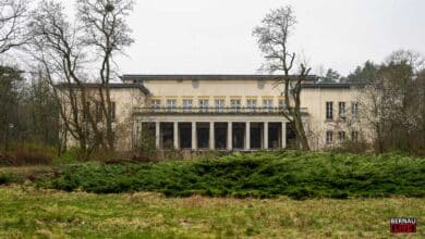 Bernau LIVE - Dein Stadtmagazin