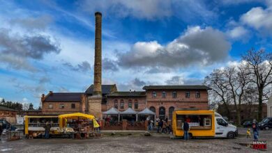 Regionalmarkt Börnicke - nur das Wetter hätte etwas besser sein können