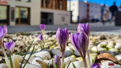 Habt einen schönen Mittwoch und guten Morgen aus Bernau