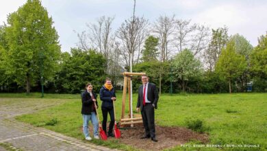 Baum des Jahres zum Tag des Baumes in Bernau gepflanzt