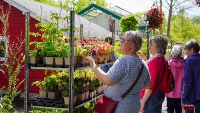 Ein sonniger Tag bei den Hoffnungstaler Werkstätten in Biesenthal