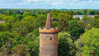 Bernau LIVE - Dein Stadtmagazin