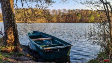 Allen ein schönes Wochenende – Veranstaltungstipps in und um Bernau
