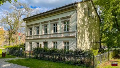 Bernau LIVE - Dein Stadtmagazin