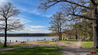 Vorsommerliches Wochenende zog zahlreiche Ausflügler in den Barnim