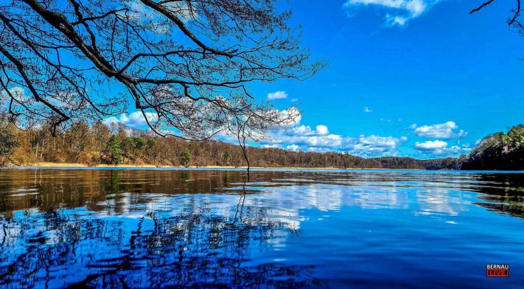 Sonntagsgrüße aus Bernau: Erst der Kaffee, dann raus in den Tag 3 Allen ein schönes Wochenende – Veranstaltungstipps in und um Bernau