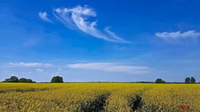 Allen ein sonniges Wochenende – Veranstaltungen in Bernau und Barnim