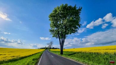 Allen ein schönes Wochenende – Veranstaltungstipps in und um Bernau