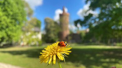 Guten Morgen aus Bernau und einen sonnig-schönen Donnerstag