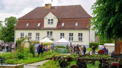 Bernau LIVE - Dein Stadtmagazin