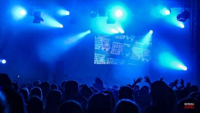 Gestört aber GeiL - Das Open-Air 2024 im Familiengarten Eberswalde