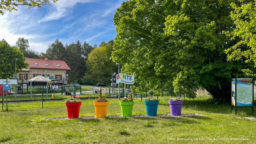 Guten Morgen aus Bernau und willkommen in der neuen Woche 5 Schleuse Rosenbeck - Schorfheide