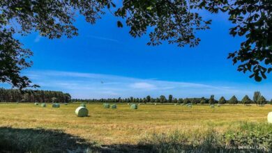 Bernau LIVE wünscht einen sommerlich-schönen Freitag