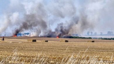Nachtrag zum gestrigen Flächenbrand nahe Birkholz / A11