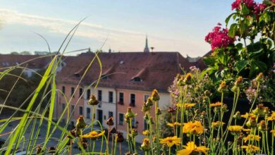 Bernau LIVE wünscht einen guten Start in die neue Woche