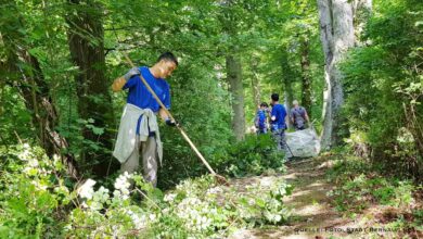 Wege rund um die Wallanlagen in Bernau werden saniert