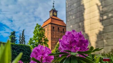 Guten Morgen aus Bernau und allen einen schönen Freitag