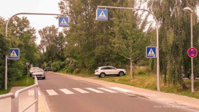 a street with cars and trees - Ladeburg: Fußgängerüberweg in der Zepernicker Landstraße fertiggestellt