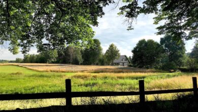 Guten Morgen aus Bernau und einen schönen Sommeranfang Biesenthal, Natur, Haus, Wald, Barnim