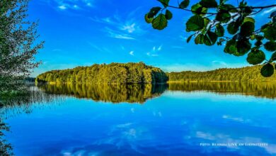 Hallo aus Bernau und allen einen sonnig-schönen Sonntag Sea, Liepnitzsee, Brandenburg, Wandlitz, Bernau