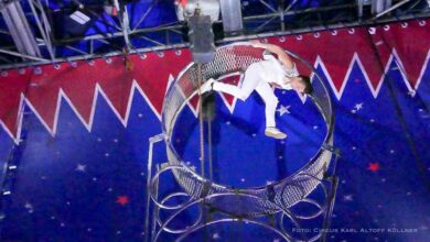 Der Zirkus ist in der Stadt - vom 14.06. bis 30.06.2024 in Rüdnitz