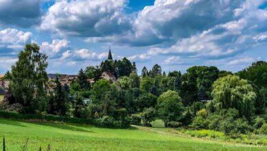 Bernau LIVE - Dein Stadtmagazin