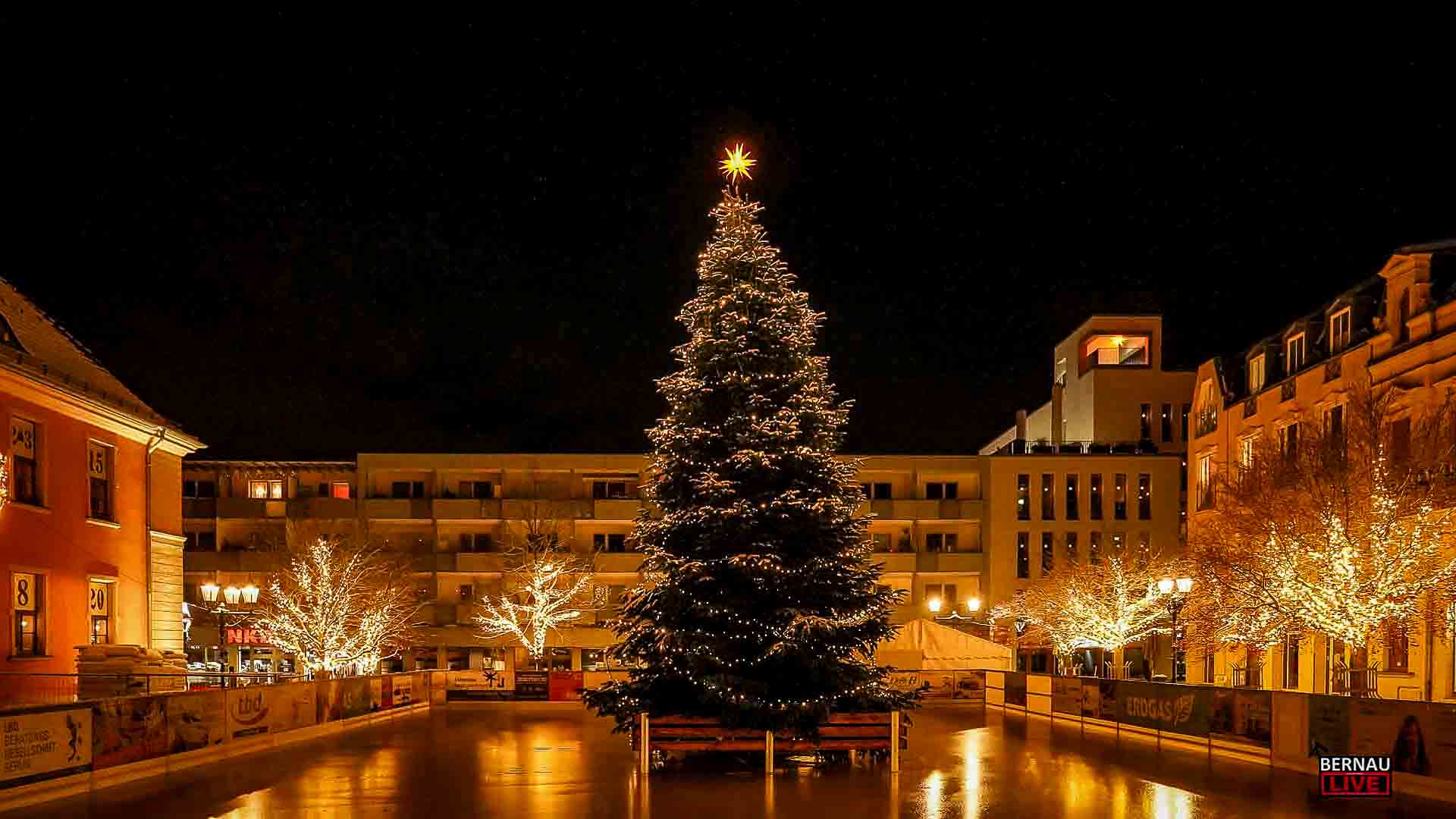 Bernau sucht den schönsten Weihnachtsbaum für den Marktplatz