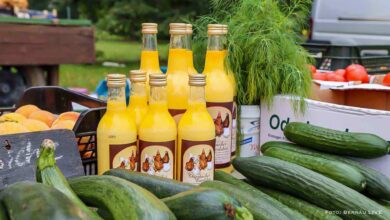Regionalmarkt und LIVE Musik am Sonntag in Börnicke