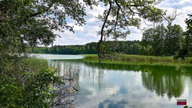 Wukensee, Wolken, Barnim, See mit Wolken