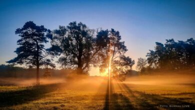 Guten Morgen aus Bernau und einen sonnigen Dienstag