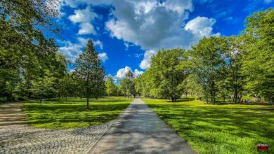 Oasen statt Beton - Bernau soll noch "grüner" werden