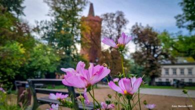 Hallo und guten Morgen aus unserer tollen Stadt Bernau