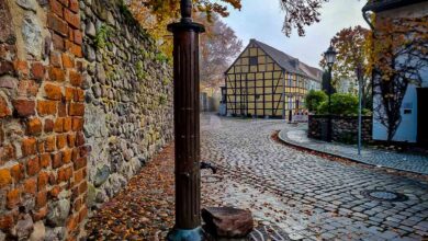 Auf in eine neue Woche und guten Morgen aus Bernau