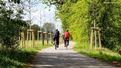 Radweg auf der L 100 zwischen Kosterfelde und Zerpenschleuse