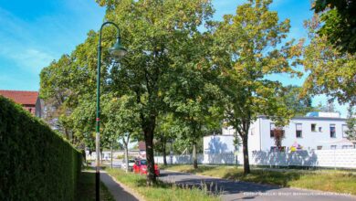 Neue Straßenbeleuchtung im Bernauer Blumenhag fertiggestellt