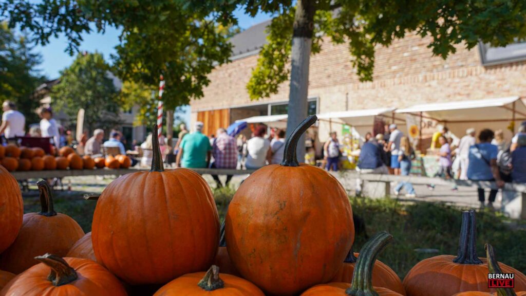 Guten Morgen aus Bernau und willkommen in der neuen Woche 4 Erntefest rund um das Barnim Panorama in Wandlitz